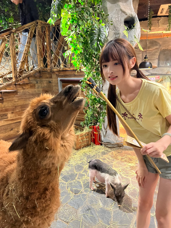英雄本色
